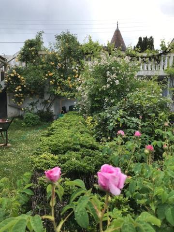 Un Paradis De Verdure En Plein Centre Ville 佩里格 外观 照片